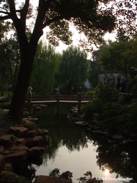Postcard Pool at the Lingering Garden