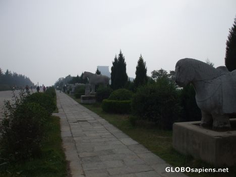 Postcard Statue of the Emperor's officers