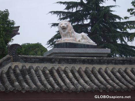 Postcard Lion Carving