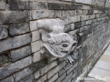 Postcard Dragon Water Spout