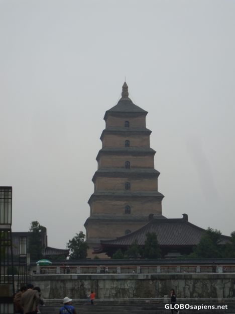 Postcard The Big Wild Goose Pagoda