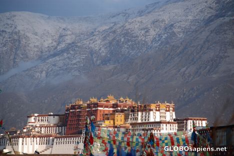 Postcard the Potala from my hotel's roof