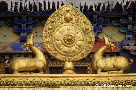 Postcard Dharma Wheel