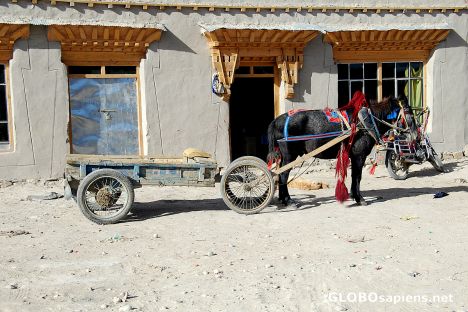 Postcard Eco-friendly transport