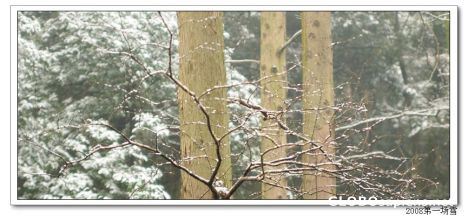 Postcard hangzhou's snow