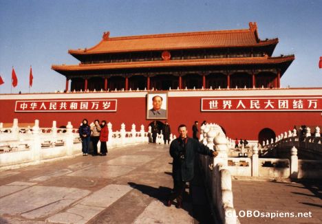 Postcard PALACE
