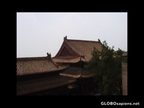 Postcard Palace Roofs
