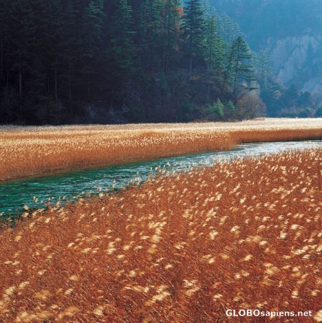 Postcard Red Lake