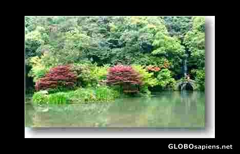 Postcard jiuxi