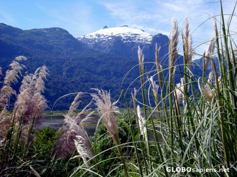 Postcard los lagos - sight of Peulla