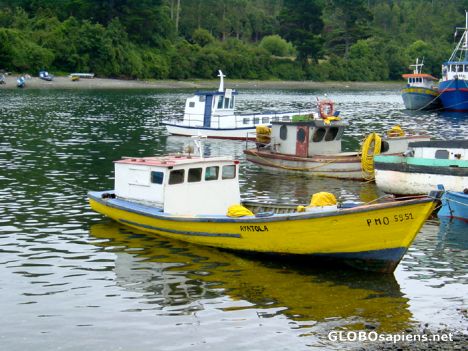 Postcard Puerto Montt - Fishing port