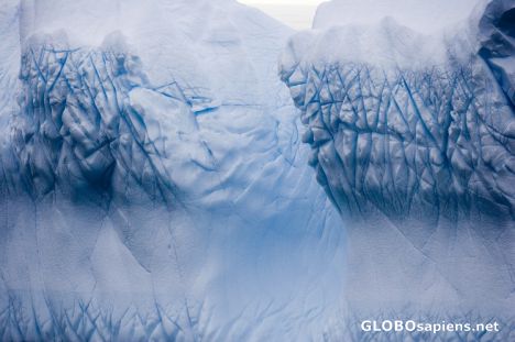 Iceberg