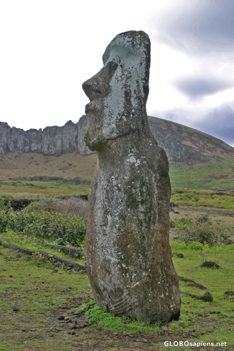 Postcard Bahia Hanga Nui - Ahu Tongariki - Moai aislado