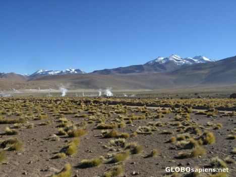 Postcard El Tatio geysers after sunrise