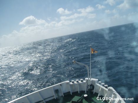 Postcard golfo de penas