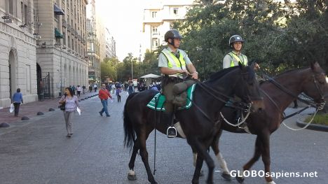Postcard Police on the horses
