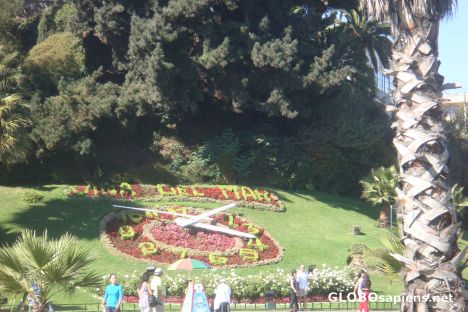 Postcard Viña del mar~- Flower's watch
