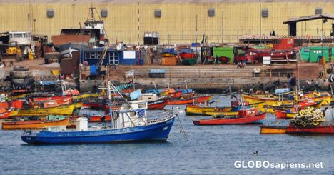 Postcard Arica Harbour
