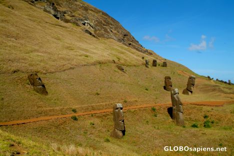 Postcard Rapa Nui - Never been used