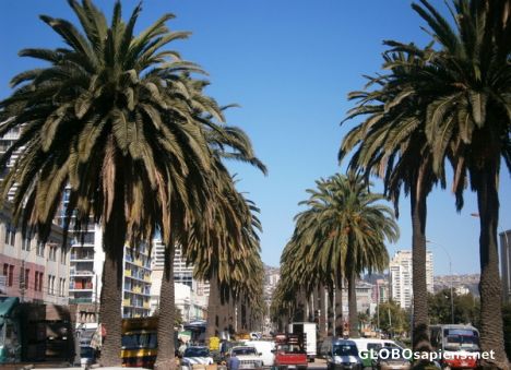 Postcard Avenida Brasil