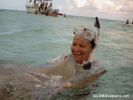 Postcard Kissing the stingrays