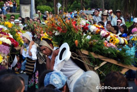 Postcard Medellin - Parade of Flowers