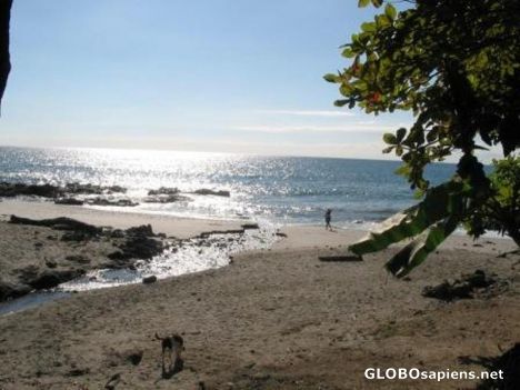 Postcard Beach in Montezuma, Costa Rica
