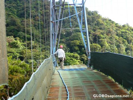 Postcard Zip Lining - the longest run 842 meters