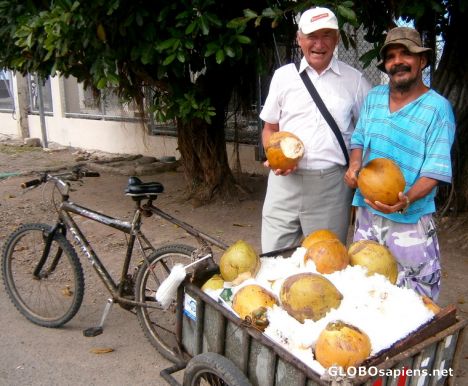 Postcard Cold coconuts!