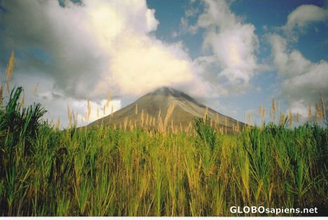 Postcard Volcan Arenal