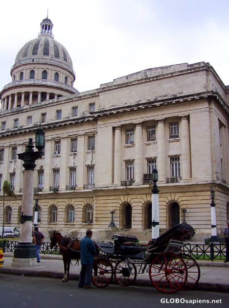 Postcard Horse and carriage behind the Capitolio