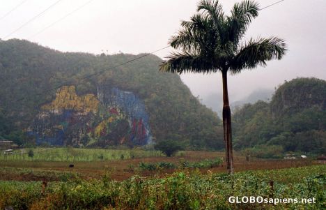 Vinales - Hill Painting