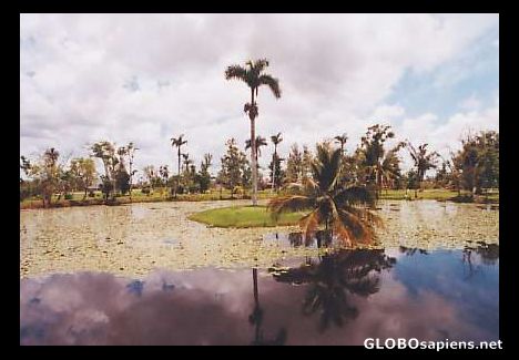 Postcard Surface of the water (2)