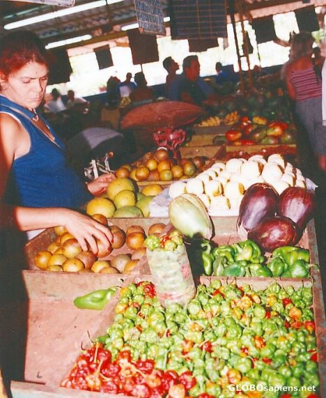 Postcard Public market