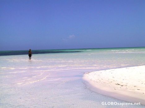 Postcard Another view of Cayo Levisa beach