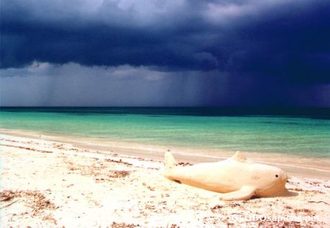 Postcard The fabulous beach of Cayo Levisa...