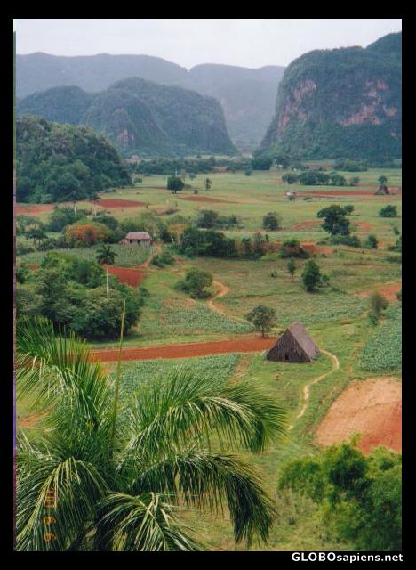 Postcard Vinales