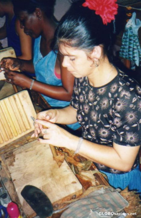 Postcard Cigar Factory