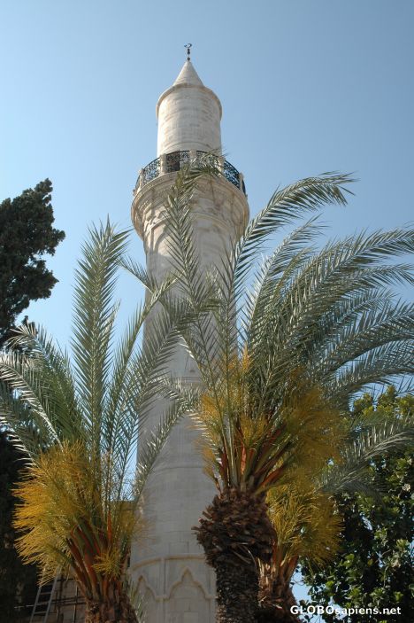 Larnaka