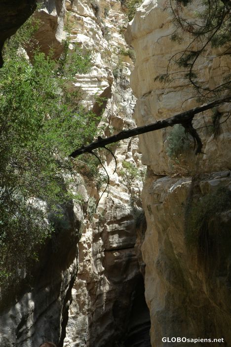 Postcard Avakas Gorge, Cyprus.