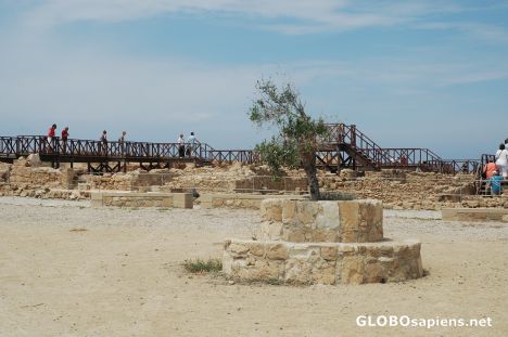 Postcard Kato Paphos.
