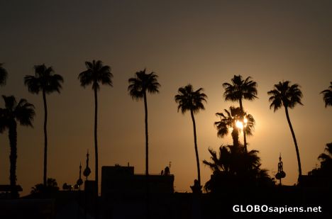 Postcard Pafos (CY) - sunset and the palmtrees