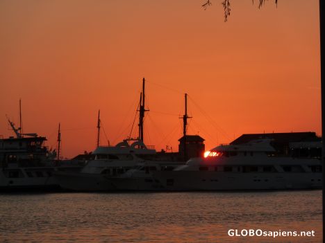 Postcard Harbor of Paphos