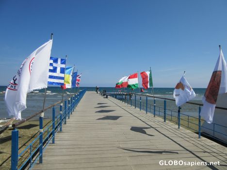 Postcard No flagging