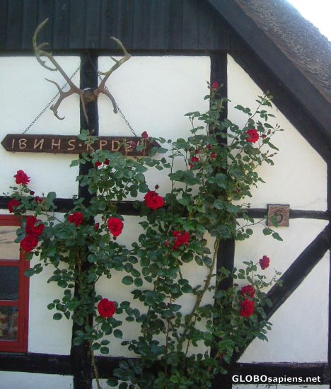 Postcard Cottage detail