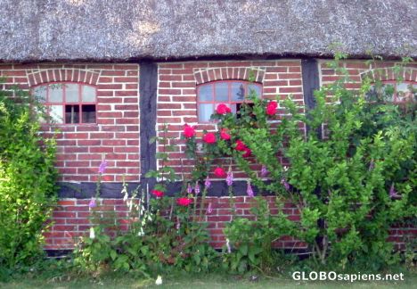 Postcard Cottage and flowers