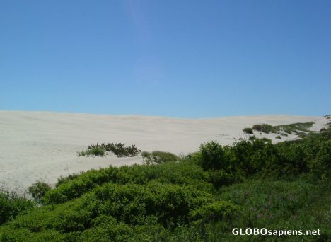 Postcard Rabjerg Mile