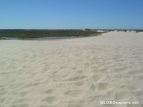 Postcard Denmark's Biggest Sandbox