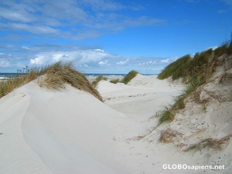 Dunes of Borsmose