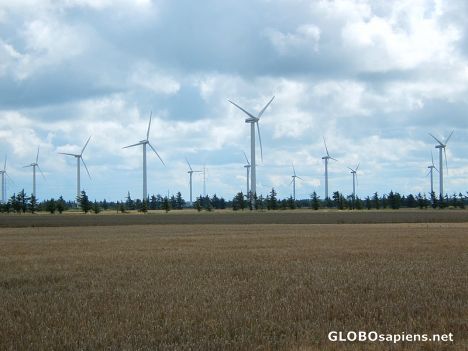 Postcard wind farm